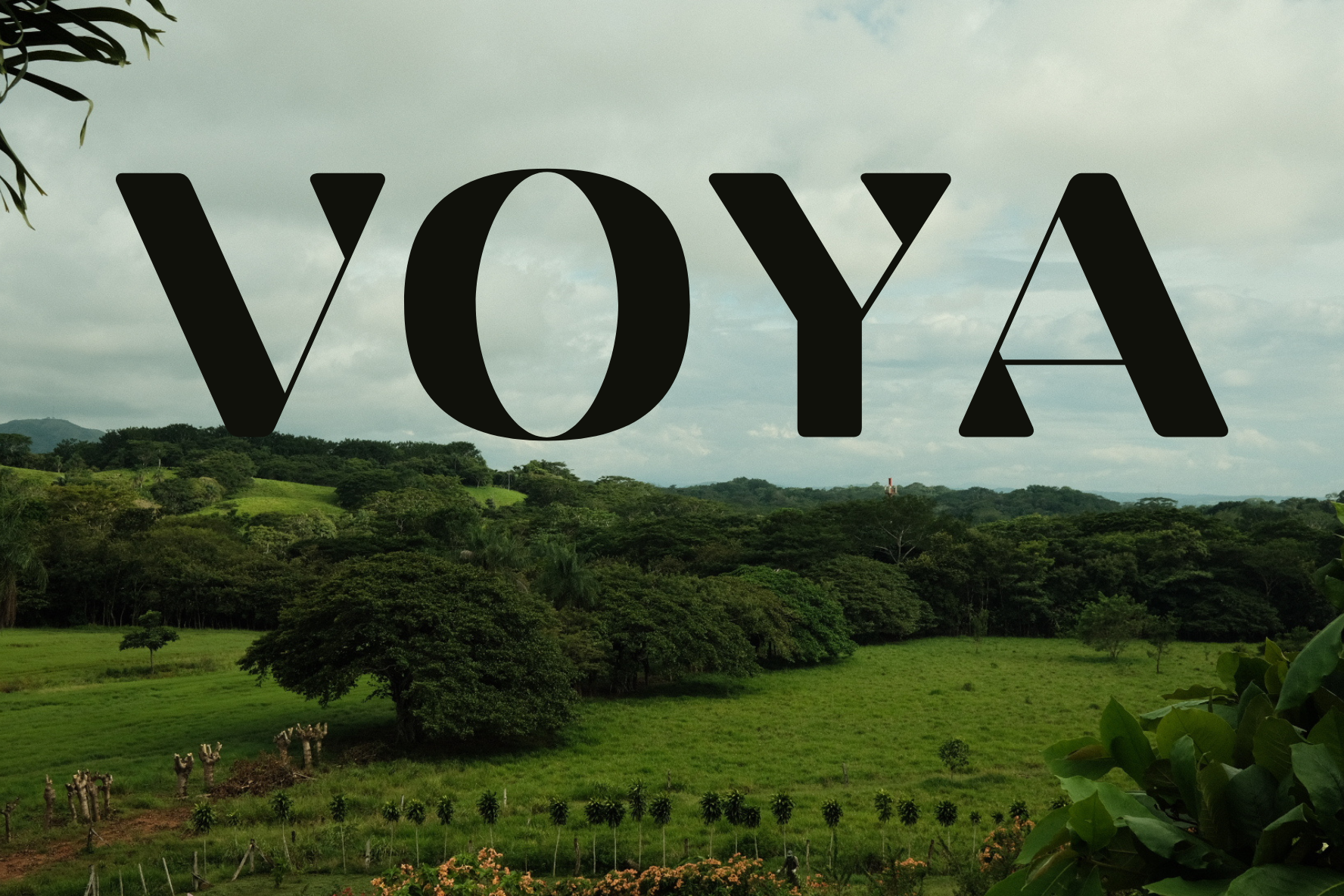 VOYA sobre un paisaje de vegetación tropical